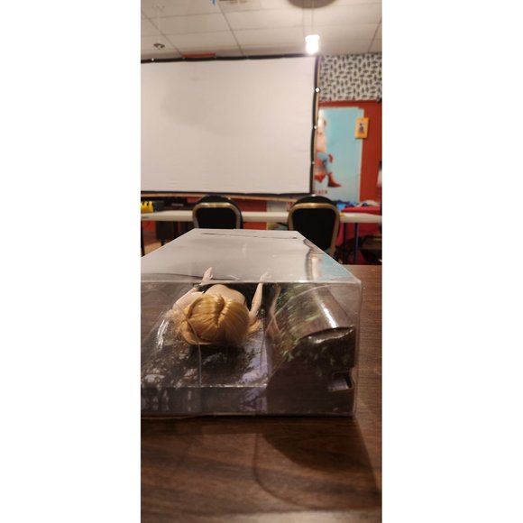 Barbie Collector The Twilight Saga: Breaking Dawn Part II Rosalie Doll: Part of - Picture 6 of 8